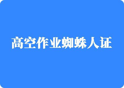 美女屄在线播放高空作业蜘蛛人证